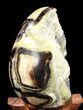 Septarian Dragon Egg Geode - Yellow Calcite #37298-4